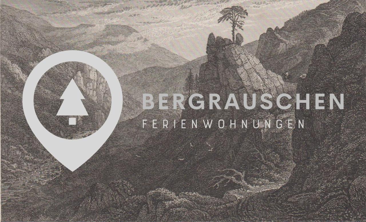 Bergrauschen - Waldloft - Preise Inklusive Waesche Goslar Exterior foto